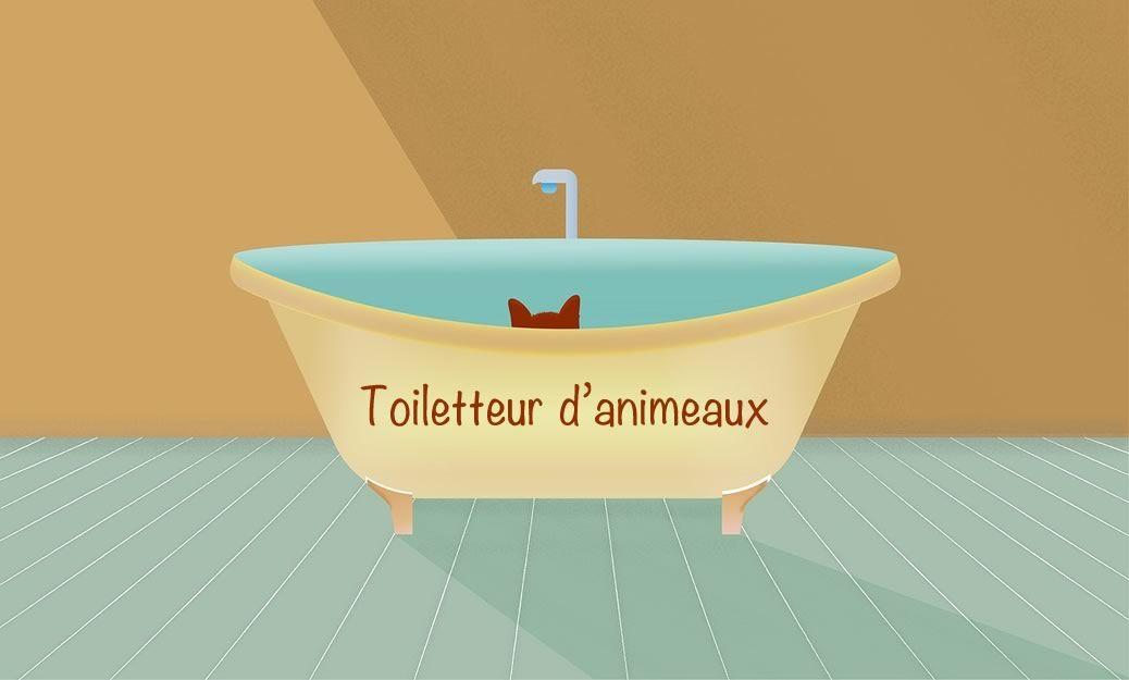 Toiletteur d'animaux à domicile 1 Toiletteur à domicile : chien, table, matériel