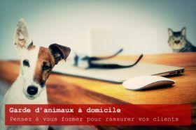 Comment faire de la garde d’animaux à domicile (pet sitter) ?