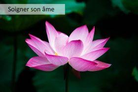 Comment soigner son âme ?