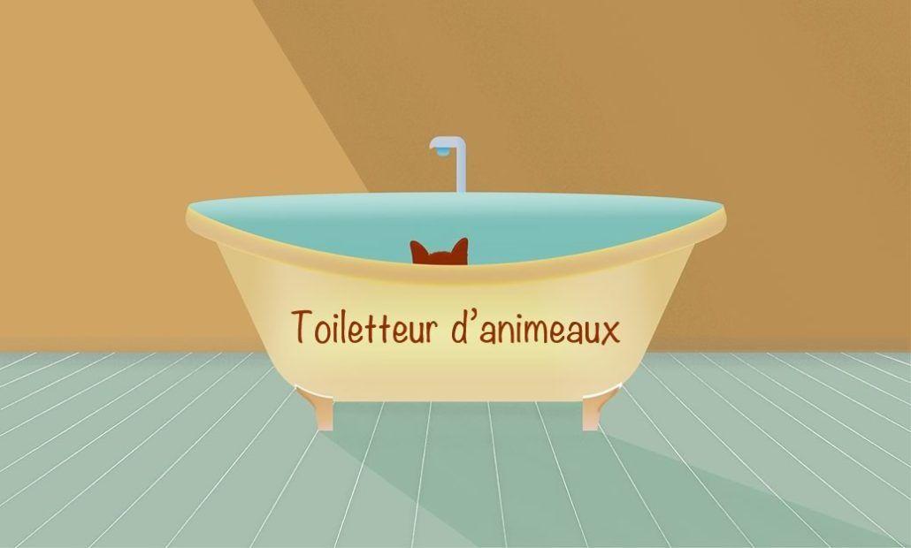 Zoom sur le métier de toiletteur d'animaux