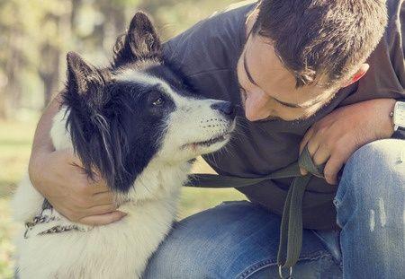 Comment devenir educateur de chiens 2