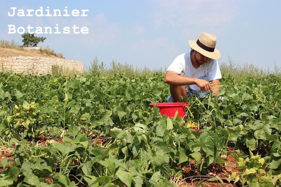 Comment devenir jardinier botaniste