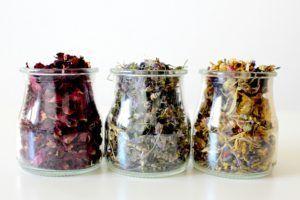 Devenir naturopathe