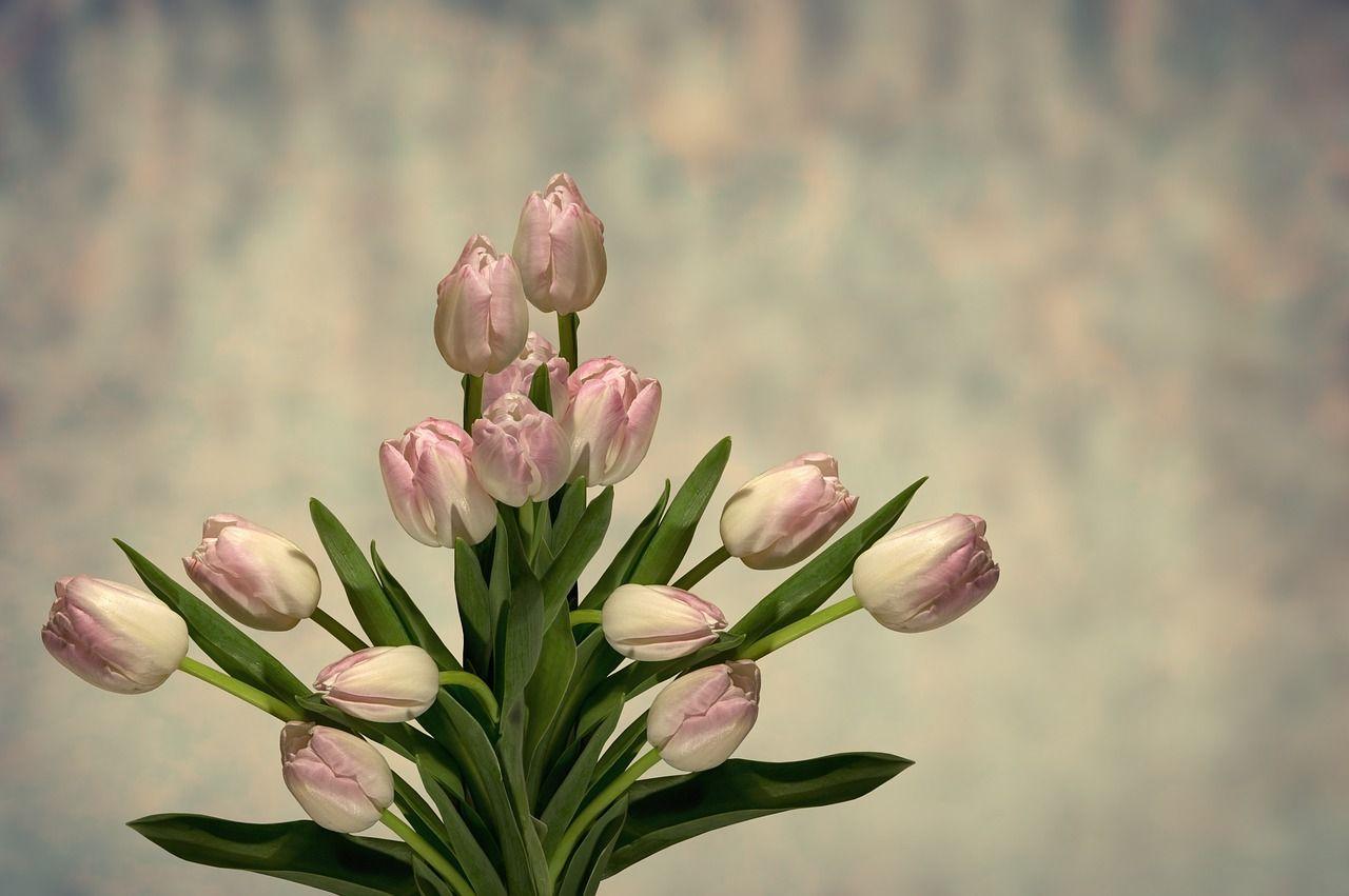 Comment créer son entreprise individuelle de fleuriste en ligne